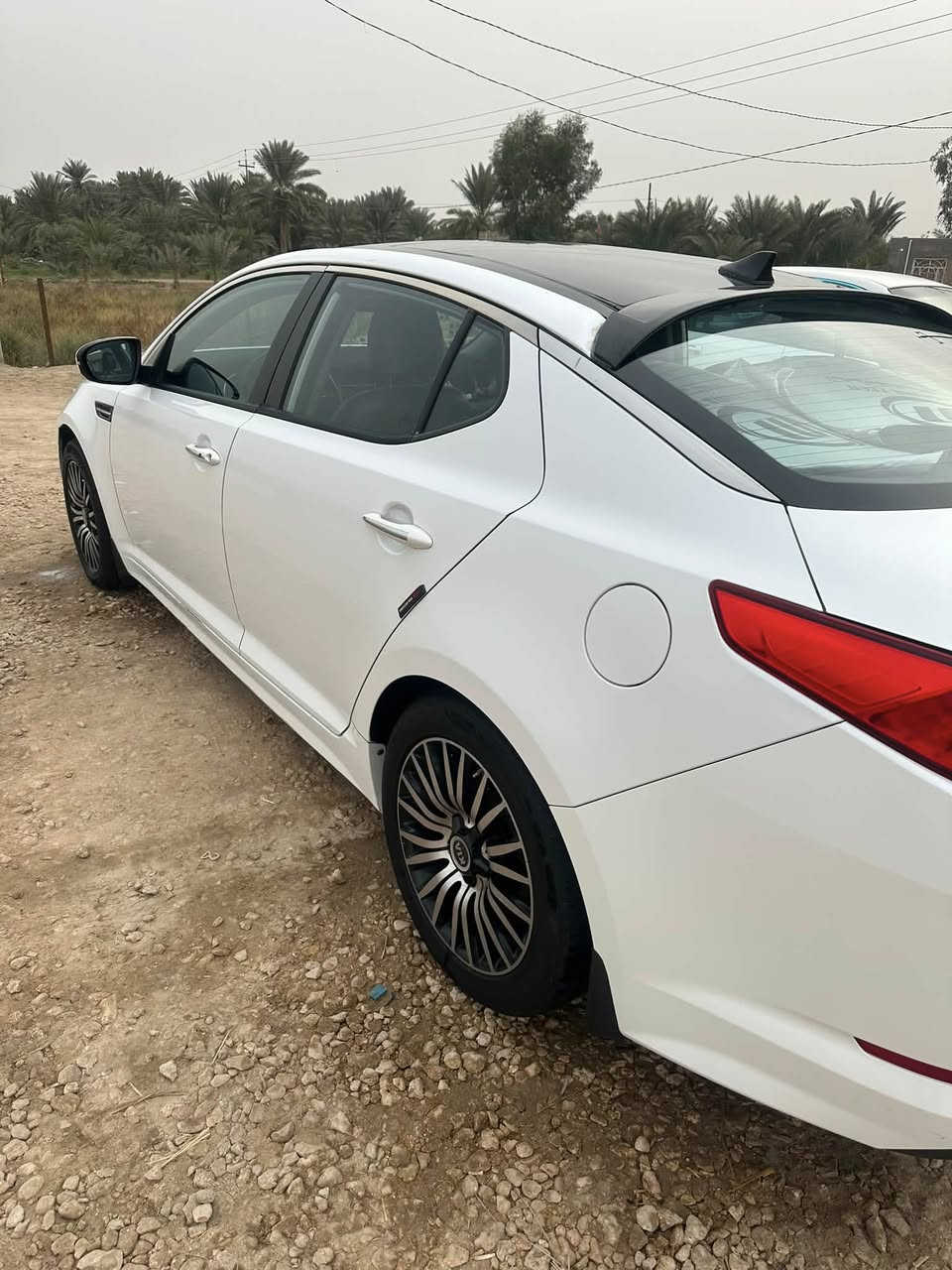 السلام عليكم k5 وارد كوري كفاله عامه ما عدا صبغ الجاملغ الامامي بدون فتح ونقص تبريد فقط 
رقم دولي  قادسية 
مداور ثاني يوم 
السنوية لحد 2030
مكينه 2000 
موديل 2014 السياره فول 
بانوراما 
و تحكم مري 
وكشن تدفئه تبريد
السياره مثل ما موجود بالصوره 
للتوضيح السياره اصل بانزين فقط 
السعر 135 وبيها مجال 
***********
