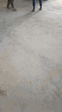 تم تجهيز احد النجارين قضاء الرفاعي الوح روسي تارس مجفف درجه اولي لبيع جمله ومفرد  عنوان قلعه سكر مقابيل جسر البتروناس الطريق العام رقم الهاتف ***********
