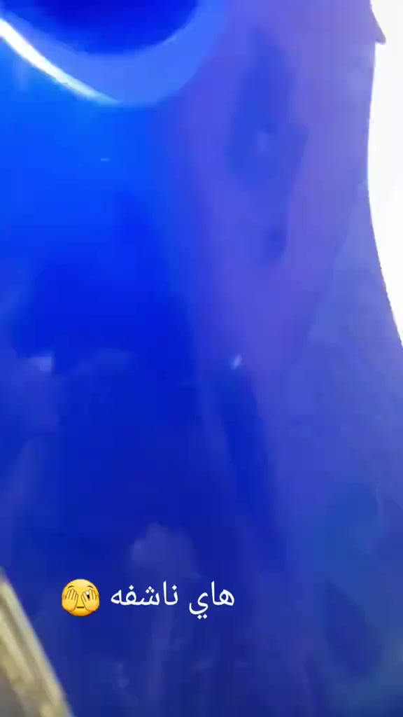 سلام عليكم دراجه ماكس عدله دراجه اخت رمبه دراجه مكفوله من تاير للتاير ملح فول بيها  تزويد خارجي شي بسيط سعر 700الف بكاني واسط العزيزيه مو شراي لا يراسل وهاذا رقمي ***********
