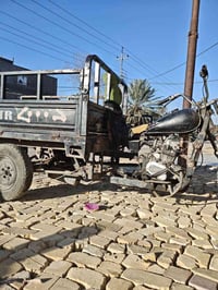 ستوته ام تي ار • بدون اوراق • الزيوت