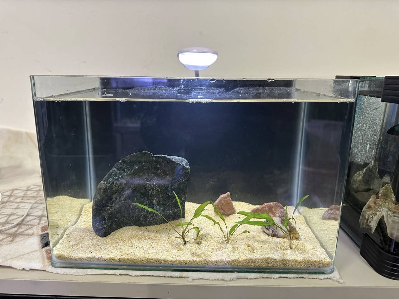 بە كاملی نرخی بۆتە  40 هەزار ..
حەوزێك بۆ ماسی فایتەر دیزاین كراوە
لیدێكی لەگەڵە
٣ چڵ گیای سروشتی لەگەڵە
 بنی حەوزەكە بە بەردی وردی زەرد ڕازاوەتەوە
چەند بەردێكی  گەورەی جوانی لەگەڵە وەك دیزاین
پشتی باگراوندی ڕەشی لێدراوە
قیاسی درێژی 30 سم بەرزی 20 سم پانی 20 سم
_______________________
ئەوەی ویستی نامە بنێرێت لە واتس ئەپ یا ڤایبەر 
***********
گەیاندنمان تەنھا بۆ ناو سلێمانی ھەیە
