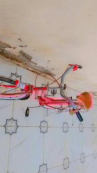 باسكل ياباني • حجم 27 • بريكات امامي وخلفي