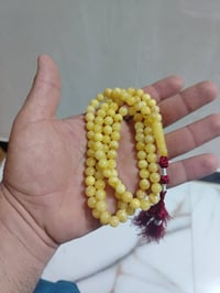 كهرب بولوني ١٠١ • شوائب قليلة