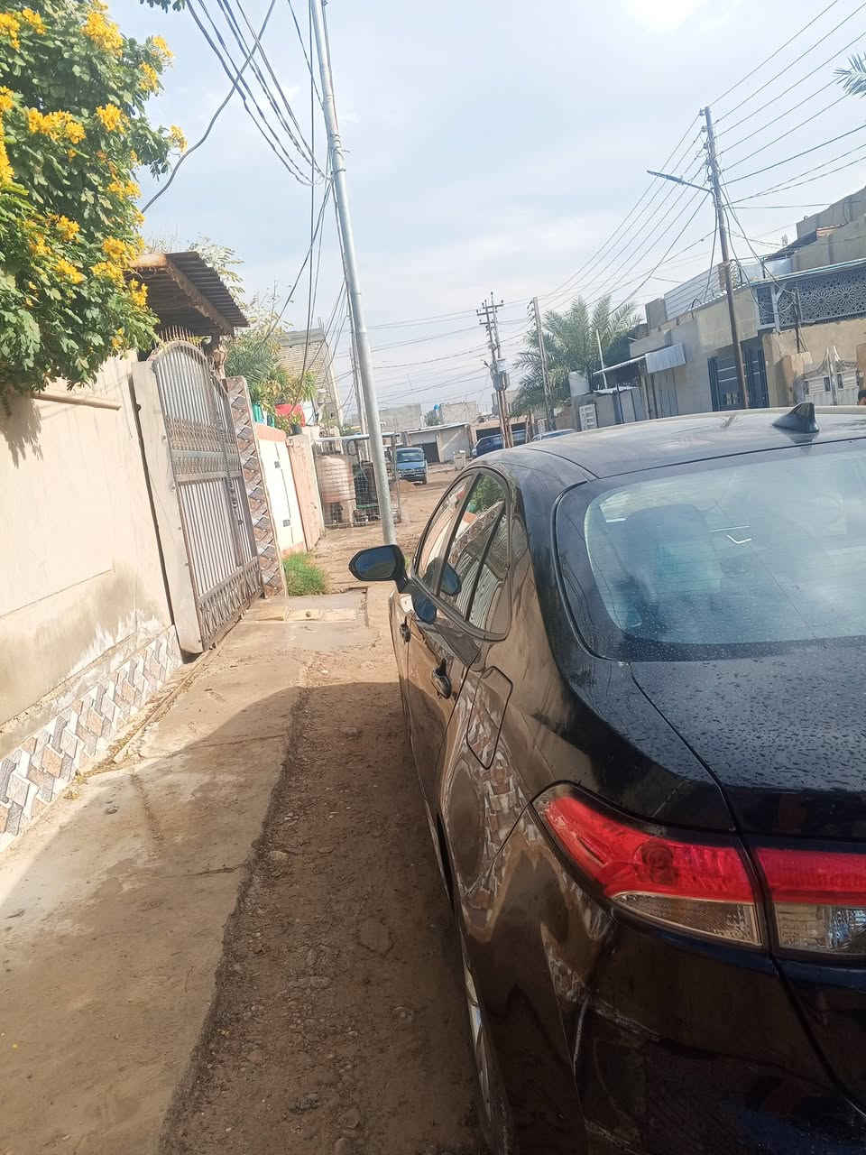 كورلة ٢٤وارد امريكة هايبرد ضرر كلش بسيط رقم بغداد ايرباك سليم
السعر ١٥٧وبيهة مجال بسيط المكان بعقوبة
***********
