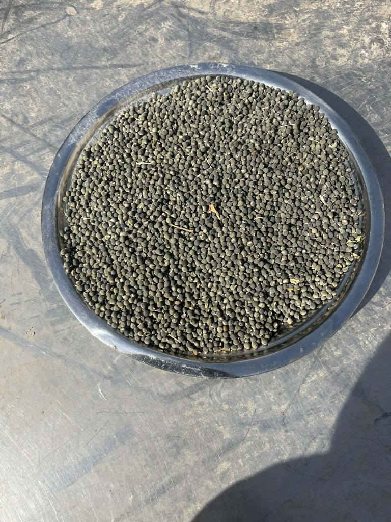 بانيا بتره درجه اولى مامحويه خليته بذور حوايه درجه اولى وهرفيه بالحواي اصل البذور من جارنه ستار الكعبي ابو فارس اتعهد بلبذور وهذا رقمي مثبت عدكم امانة الله ورسوله *********** عمارة, ميسان
