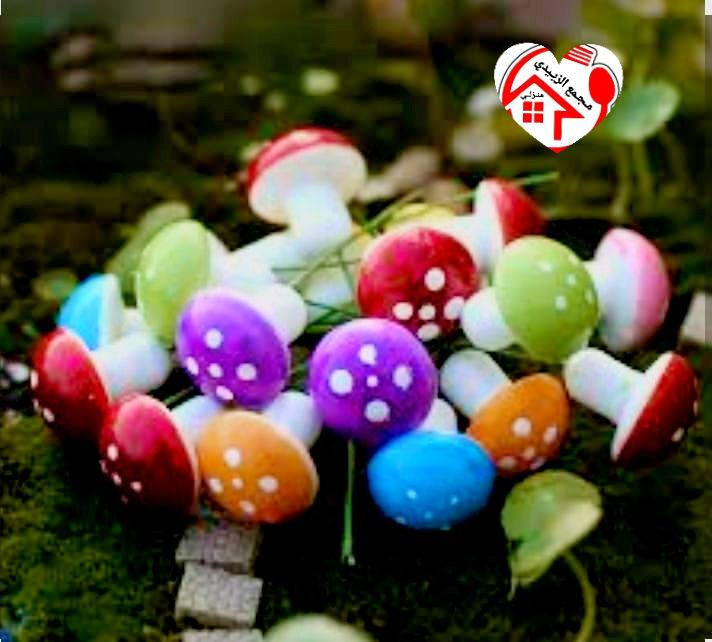 خدع بصرية
تزين زرع والسندان
دعسوقة🐞 + فطر 🍄
ينطي جماليه للنباتات الصناعيه
مجمع الزبيدي المنزلي


**إذا كنت صاحب هذا الإعلان وتريد حذفه لأي سبب، رجاءا أرسل رسالة إلى الدعم الفني**