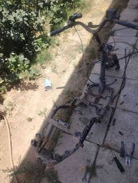شاصي مكفول • عايزه صبغ • دبل امامي وخلفي