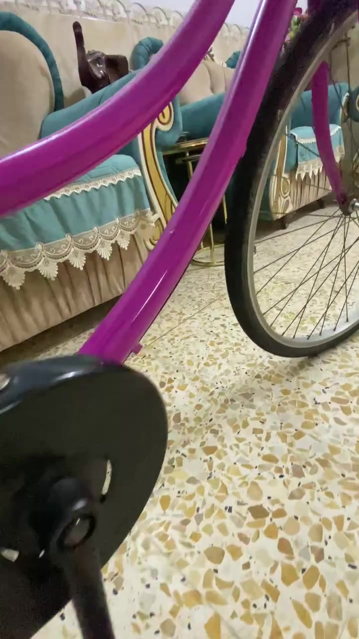 السلام عليكم 
بايسكل للبيع حجم 26وسعر ب85وبي مجال وغراضه كامله مكان حله طهمازيه


**إذا كنت صاحب هذا الإعلان وتريد حذفه لأي سبب، رجاءا أرسل رسالة إلى الدعم الفني**