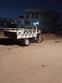 ستوته • أوراق أصولي • بدن جديد