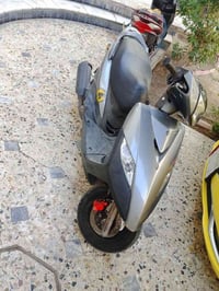 جيتي ماكس • ثعلب • حيل نضيفه