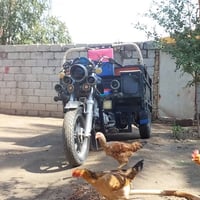 ستوته ٢٢ رقم وسنويه انكليزي شخط مابيه محتاج ورايد ابيعهه 07817217386