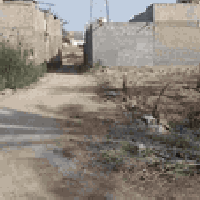 كربلاء الحر السوادة • ٢٠٠٠م • سند ٢٥