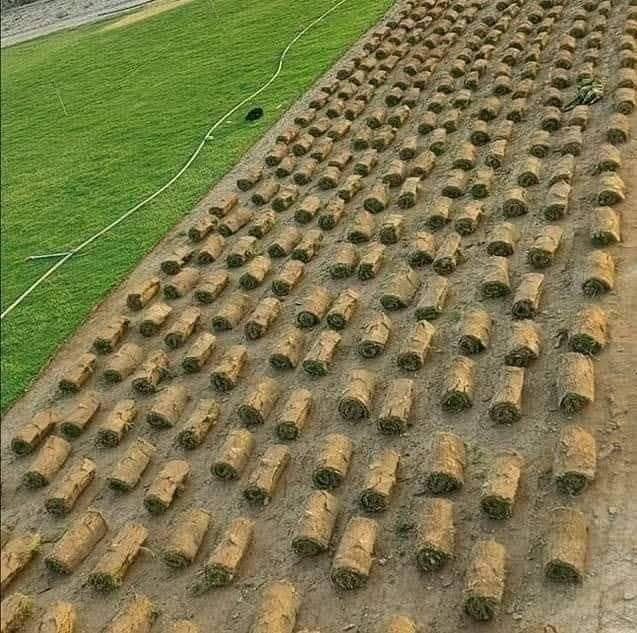 الثيل الهندي درجه الأولى
للحجز الاتصال او المراسلة على الواتساب على الارقام : 
*********** اتصال 
محافظات العراق توصيل
