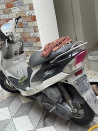 ماكس منغولي • نضيفه • مابيه نقص