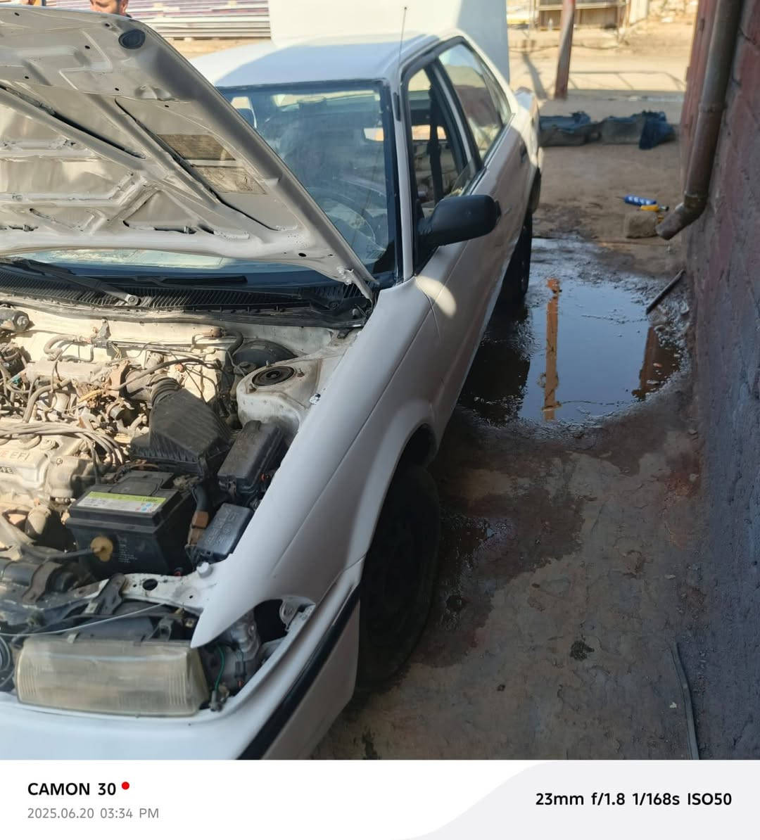 من رخصت الكروب المحترم كورولا موديل 92 وارد امريكي يسرى بلاد مو محور رقم الماني سنويه الى26 شهر الثامن كيبون بانزين موجود كير اوتو محرك معمر رايمن مصبوغة عام بيدون ضرر ولا قطرة خياس داخل بلادي
السعر 37$
مكاني الموصل الايمن
الرقم الهاتف***********
***********
