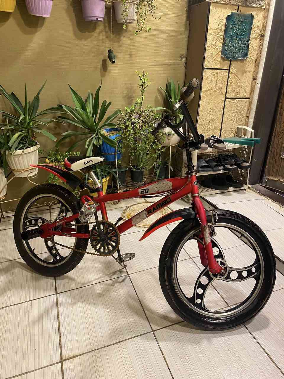 بايسكل للبيع نوع ( Bmx) بحاله جيدة جداًنظام بريك خلفي بالبايدار السعر 60 الف وبي مجال بسيط مكاني الغزالية الكفاءات


**إذا كنت صاحب هذا الإعلان وتريد حذفه لأي سبب، رجاءا أرسل رسالة إلى الدعم الفني**