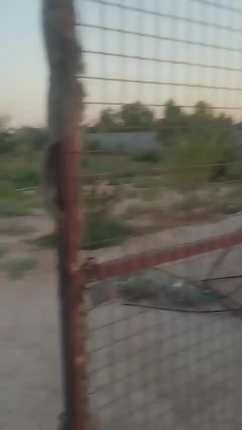 السلام عليكم  دونم لبيع
قريب على شارع كربلاء  نجف  
عمود ٢٨٥ 
تفاصيل دخل الفيديو  
 إتصال على الرقم ***********
