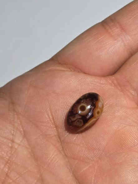 بسم الله الرحمن الرحيم
وَإِنَّكَ لَعَلَىٰ خُلُقٍ عَظِيمٍ
اللهم صل على محمد وآل محمد الطيبين الطاهرين
(الله عزه وجل) يعطينا رساىل في الحياه عن كرامات الأنبياء والمرسلين وبخصوص النبي محمد صلى الله عليه وسلم وأهل بيته 

للبيع حجر سليماني تحفه ربانية
واجهة الحجر عين
خلفيه الحجر فيه اسم ( محمد ص)
*********** واتساب
