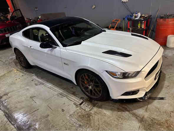 الصلاة على محمد وال محمد) 🤍
الماكو اختها لحد هسه  بــ العراق كله 
موستنك 2017 (pp3) white edition two colour
gt (5.0🐎🔥)
(كير عادي)📌
manual 🕹️
هذا الحنطور مميز🤍
السياره تجي لونها ابيض (صدفي) وقماره اسود بلاددد
السياره مو اي جيتي 
تجي بلاد من الشركه هيج 
حشوه مكينه بلاد تختلف 
كلج مكلاود بلاد 🕹️
مقاعد بلاد ريكارو 🔥
شورت شفت 
كيجات بل دشبول 
ماشيه 72 الف مايل 
-------------
السياره كير مكينه كلج بلادي برغي ممفتوح منهم كلهم وكلشي مذكور بلاد واصل 
السياره نقص برغي مابيها يشهد الله 
من حداديه ولايتات وتايرات وصبغ ويل 🔥
السياره حادثها فقط جاملغ السايق ونص البنيد
يعني السياره فقط قطعتين صبغ🔥🤍
السياره عليها وياله RTR اصليات حجم 19
السياره عليها دبات  🔈 ريمونت

للاستفسار-  
مكاني بغداد حي الجامعه 
***********
 
 
السعر بلاش 167 وبيها مجال 🔥
السياره ناصبه وتخبل وبل خير على الياخدها 🤍
اذا عجبتك السياره اذكرلي كلمه طيبه😘 بغداد
