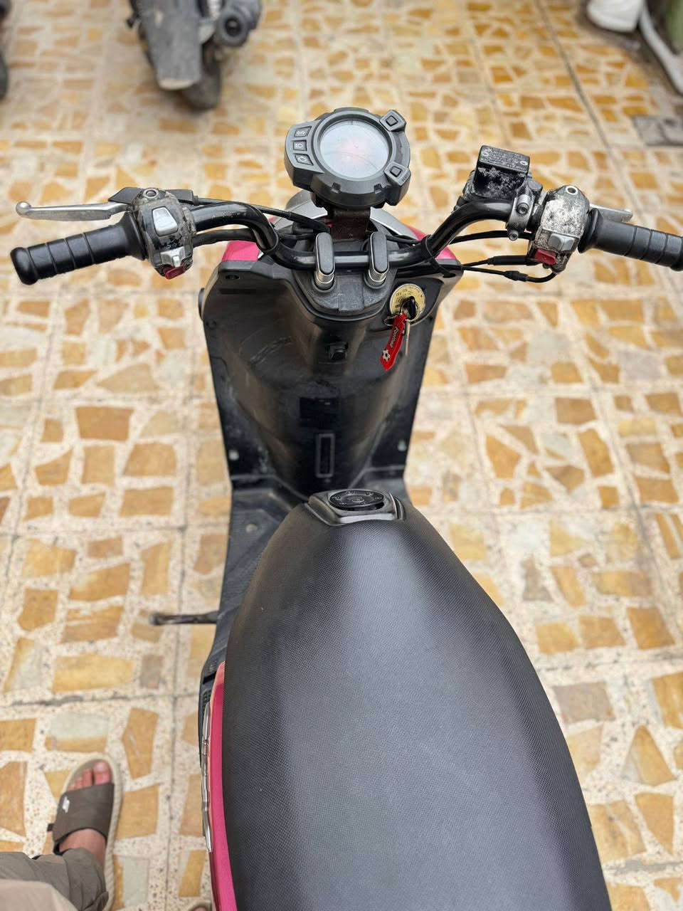 السلام عليكم شباب
سكنس جبلي للبيع موديل 2014 غراضها كلها بلاديه 

السعر مليون و300 وبيها مجال بسيط
مكاني بغداد مدينة الصدر الاورفلي 
للتواصل ***********
