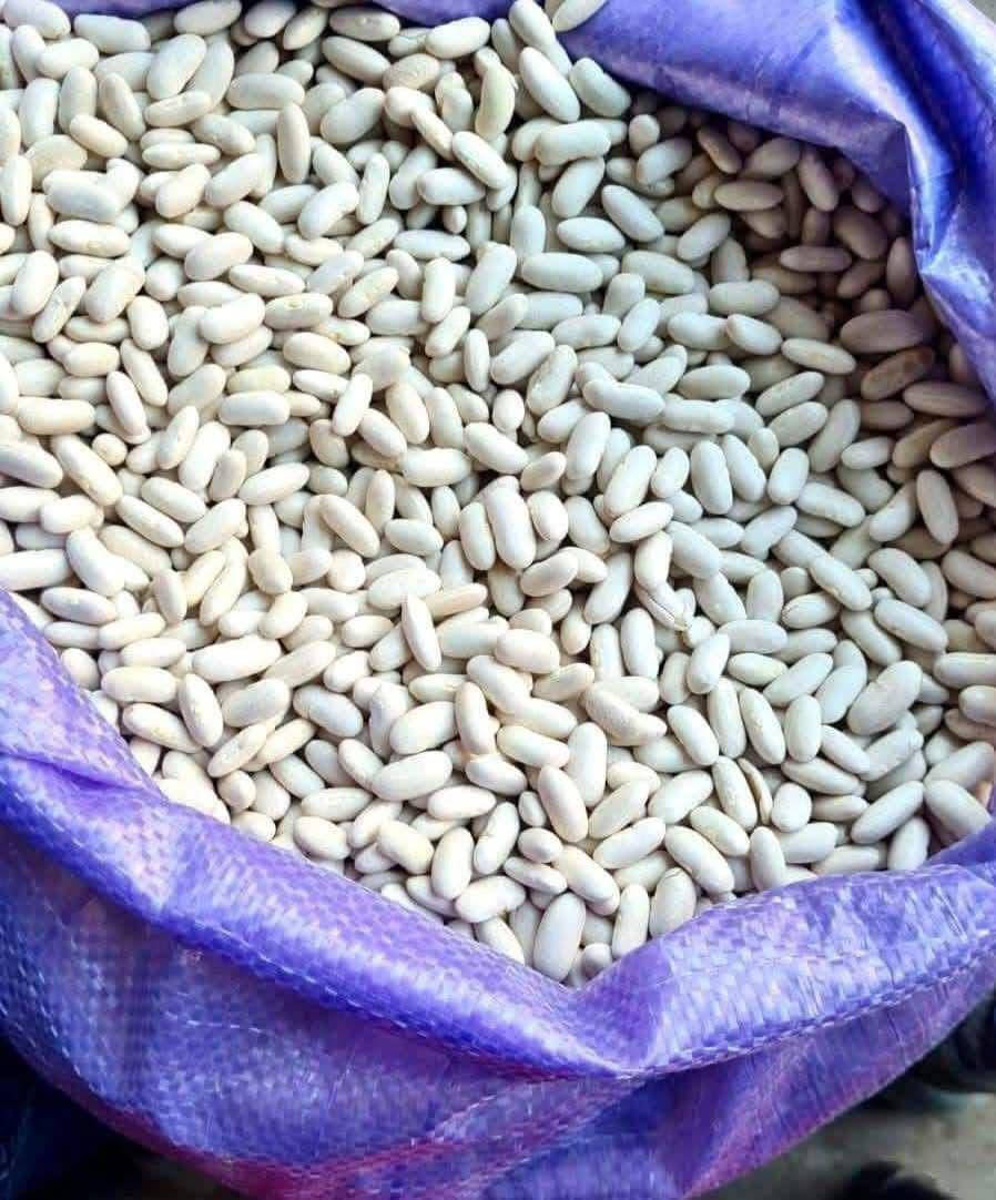 توفر مواد غذائية لدى مخازن سما المثنى

مخازن سما مثنى للمواد الغذائية والحلويات
السماوة السكك
مبيعات
محمد  ***********
حيدر ‏‪***********‬‏
