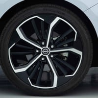 عندي تخم ويل نفس هذا اريد ويل 18 بيع او مراوس