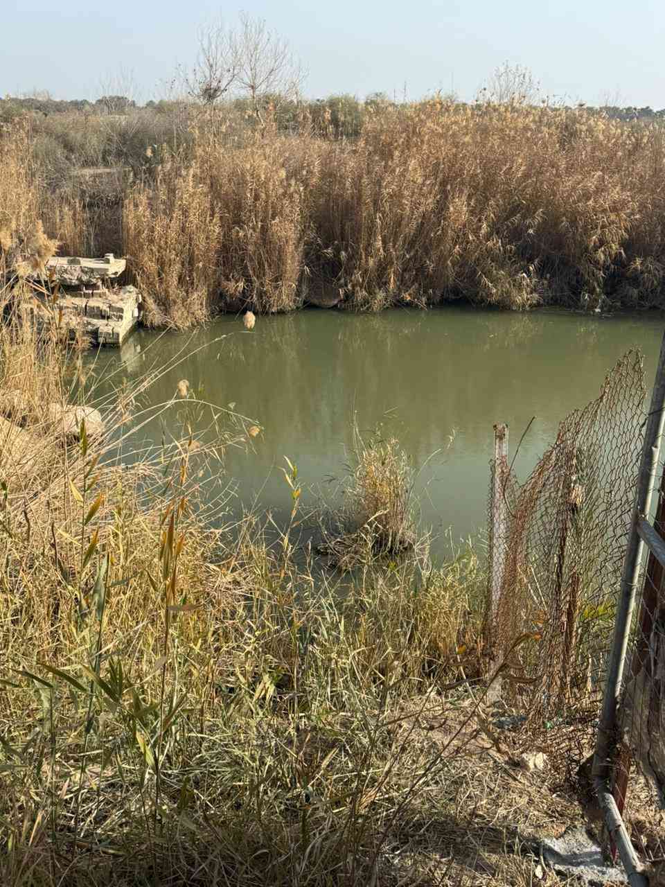 السلام عليكم ١٢ دونم للبيع سند ٢٥ سلمان باك منطقه الج خدمات كامله ماء تبلط كهرباء سعر الدونم ١٢٠ مليون ***********
