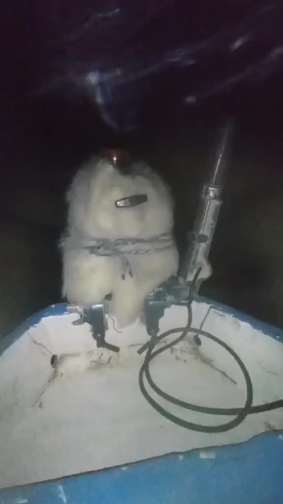 سلام وعليكم مكينه ياماها 15 ذيل طويل مكينه حلوه ناعمه ما مفتوحه بس الكير مبدل مكاني حمدان ***********
