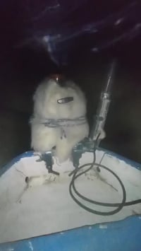 ياماها 15 • ذيل طويل • مكينه ناعمه