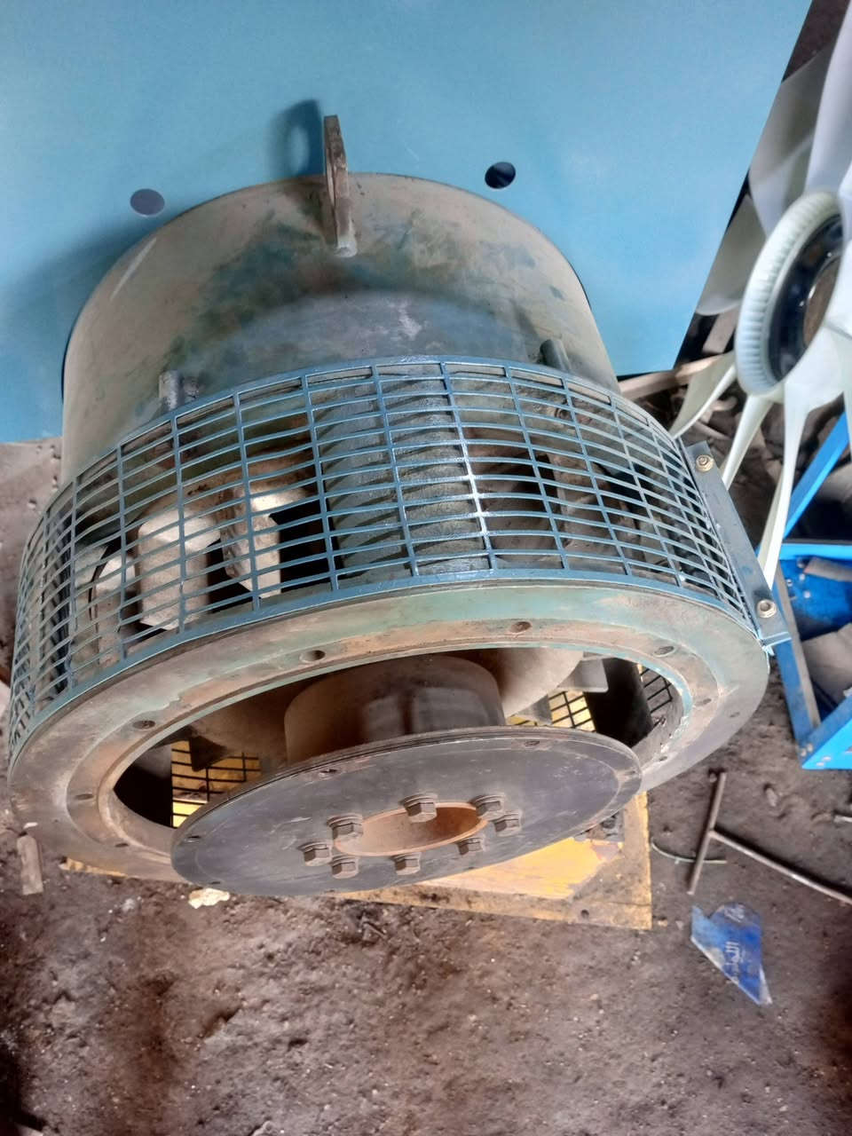 سلام عليكم توليد 100كيقي بلادي شرط سعر 11$  ***********
