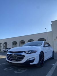 ماليبو • ٢٠٢٤ • بدون صبغ