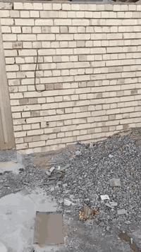 سلام عليكم بيت 50متر 5×10 الدوانم شارع ابو دراج خدمات كامله مي مجاري مقرنص تبليط  البيت هسه كمل بناء جديد مفتاح 🔑 السعر 42 وبي مجال ***********واتساب
