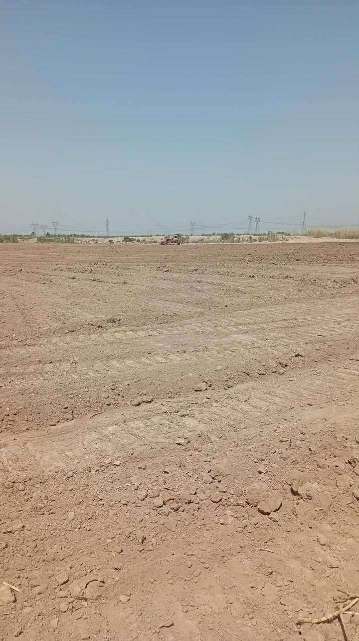 ارض زراعيه طابو ملك صرف مساحه 11 دونم...واصل لها كهرباء ومياه للسقي والتبليط يبعد عن الارض مسافه 50 متر 
تصلح مخازن او شركه او معمل او مزرعه..تباع الارض كامله..تحويل ثاني يوم للمشتري 
مجاور للارض توجد شركه الدواجن والاعلاف..وكذالك قريبه عنها ايضا توجد شركه ثانيه وثالثه..واجهه 140/نزال تقريبا 230/240
بغداد/المدائن/قريه الدرعيه الثانيه
***********
