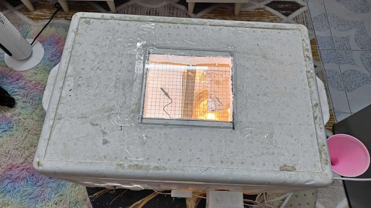 متاح فقاسه + حاضنه جديده الحجم. الكبير تاخذ 100 بيضه  مفوله وضمان التفقيس سعرها قفل 89 
***********
