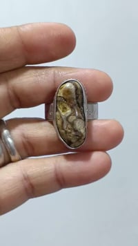 دعاء • صلى على النبي • آل محمد