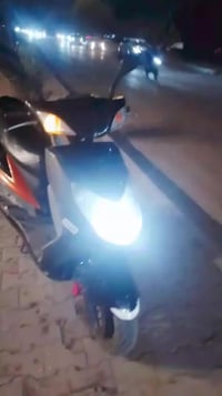 سكنس فحل • البياع