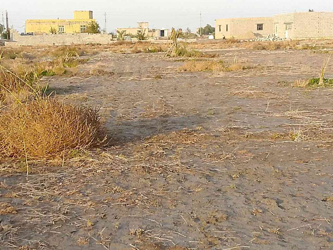 أرض زراعية المساحة 1000متر مربع بأبعاد وجه65 بنزال 200 متر الخدمات متكامله ماء و كهرباء وتبليط وملعب خماسي ومدارس وخط سحب  الأرض تقع قرب المجمع البناني ومجمع الأمام الرضا ولأرض المخدومة وتبعد عن الشارع العام 100 متر البيع حسب المساحة المطلوبه  يعني يمكن بيع مساحه 200 متر منها او 300 متر للاستفسار الاتصال على الرقم *********** مكلف بنشر
