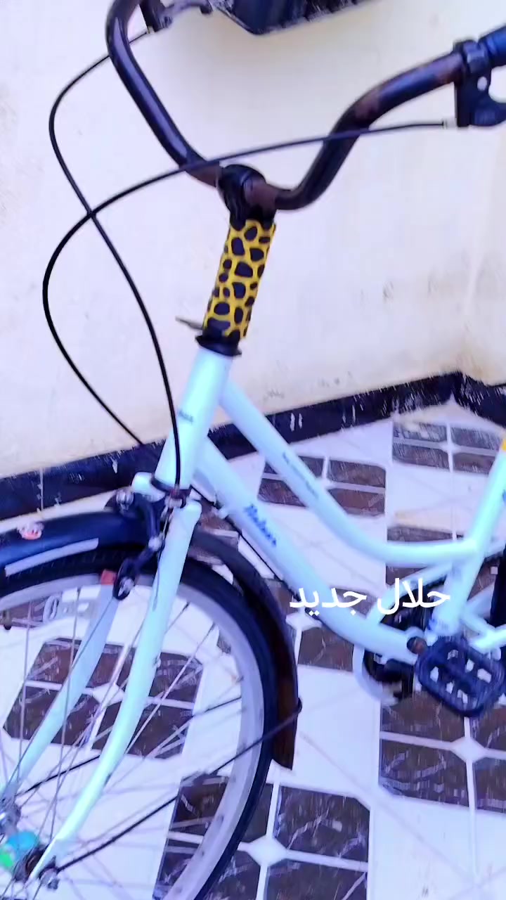 سلام عليكم باسكن اللبيع مديل 2020 ***********
