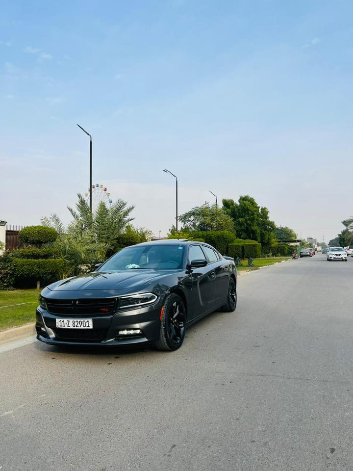 مكلف بالنشر 
جارجر 2022 امريكي
SxT فول 
حادث جاملغ وبنيد وسونار ويه صور
فتحه 
بصمه 
كشنات جلد 
تدفئه بل كشنات 
كشنات كهرباء 
حساس خلفي 
السعر 245 
مكان السياره بابل المسيب
☎️ ***********
