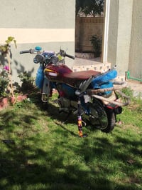 تايكر ٢٤ • نضيفه • اوراق