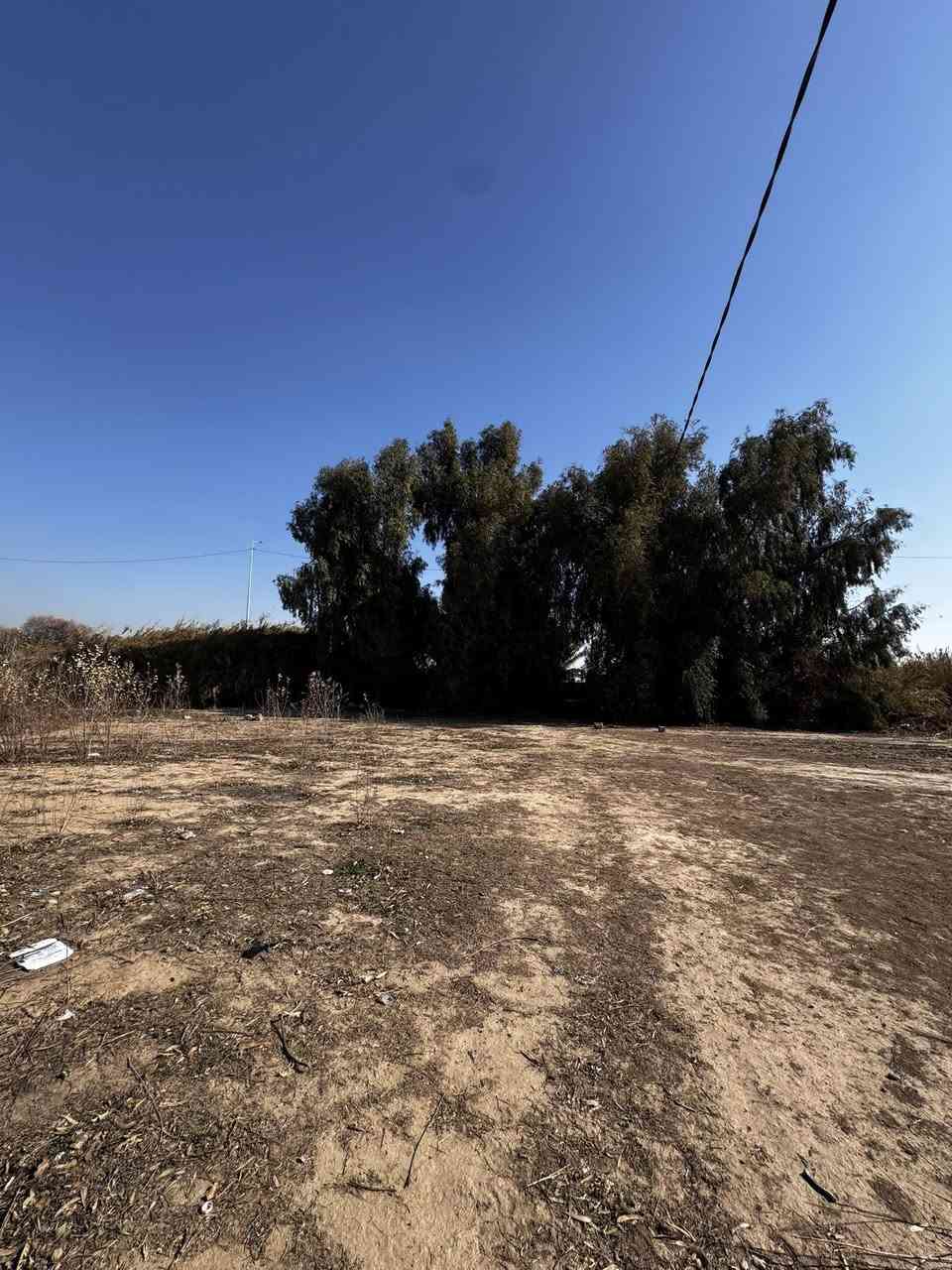 السلام عليكم
شاطيه للبيع
تفيد للاستثمار ايجارات 
بغداد سلمان باك 
عقد 35 
1445 متر 
وجه 17 نزال 85 
بيها هيكل ثاني يوم تبني 
متوسطه بنص مزارع ايجارات 
كامل خدمات 
سعر مناسب جداً 
للاستفسار 
***********
