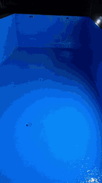 ايبوكسي مسابح • بديل سيراميك • مضاد تعفن