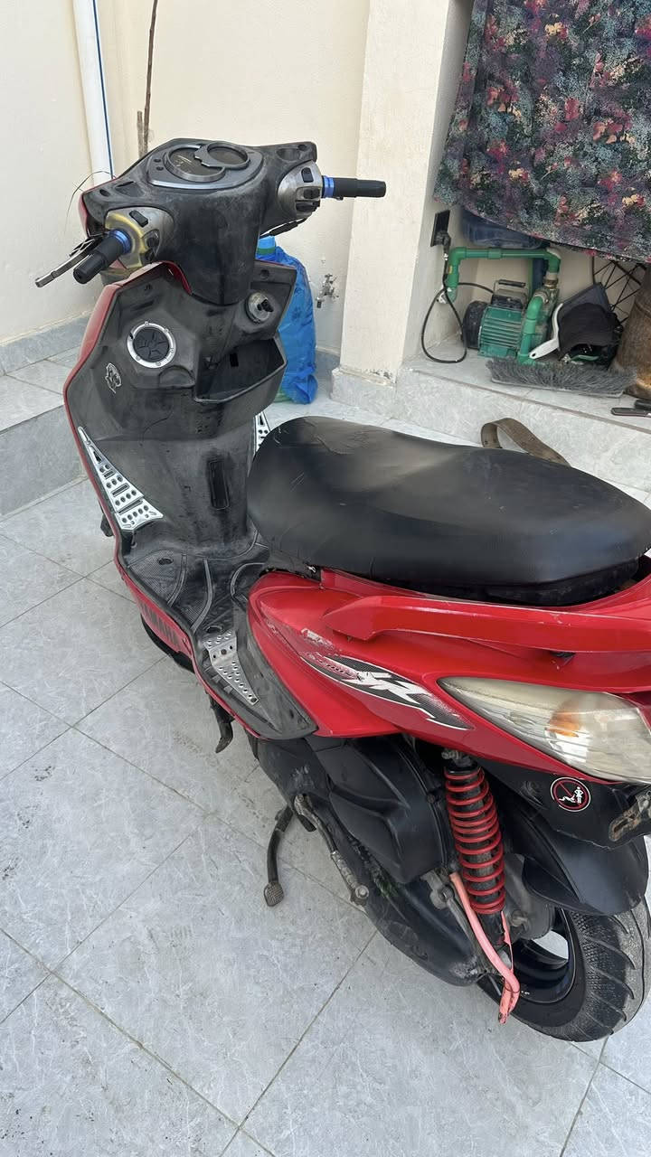 سكنس فحل مزود بوشه 58 سعر 525 بعقوبه ***********
