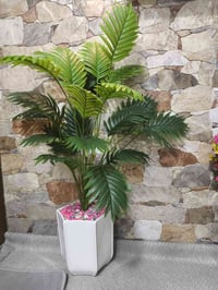 ٢ قطع • توصيل • حديقة