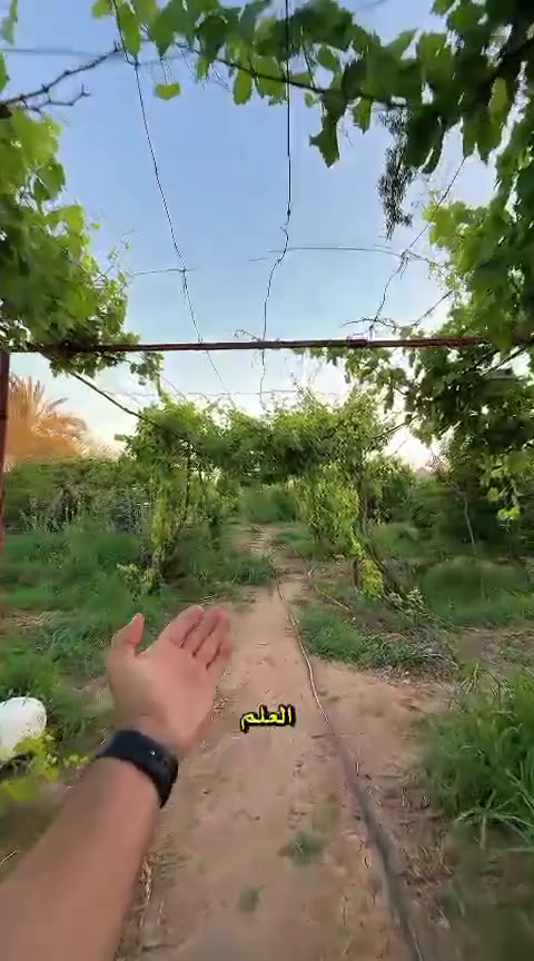 اهلا وسهلا بكم في مزرعة هيل وليل
مساحة المزرعة 2500متر 
تحتوي المزرعة على 👇
منتجع متكامل وبستان
🔹صالة كبيرة مؤثثة ومكيفة
🔹غرف نوم عدد 2مؤثثة ومكيفة
🔹مطبخ مجهز بلكامل 🔹
🔹حمام +تواليت غربي وشرقي 
🔹مسبح كبير 🏊‍♂️بطول 9متر العرض 6متر الارتفاع 160 سم
🔹مسبح للاطفال
🔹 جلسة عربية 

 🔹الألعاب بليارد وفيشه ومنضده
🔹حديقة  عدد 3
🔹مناقل للمشاوي والسمك 
🔹كهرباء على مدار 24ساعة 
🔹انترنيت فائق السرعة 4G🔹جلسه عربيه 
🔹بارك سيارات يتسع 10سيارات
العنوان قضاء بلد
المزرعة موثقة 
رقم المزرعة :           ***********
