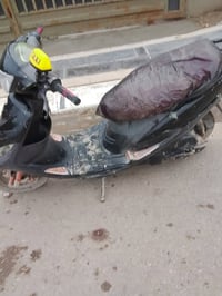 ماكس • تراوس • ديالى