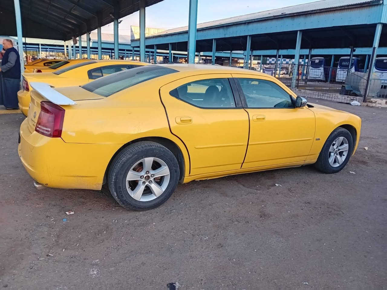 بيع او مراوس حسب بقناعه ١٠ بسمي ***********
