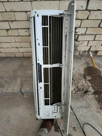 سبلت طنين للبيع 07806851801