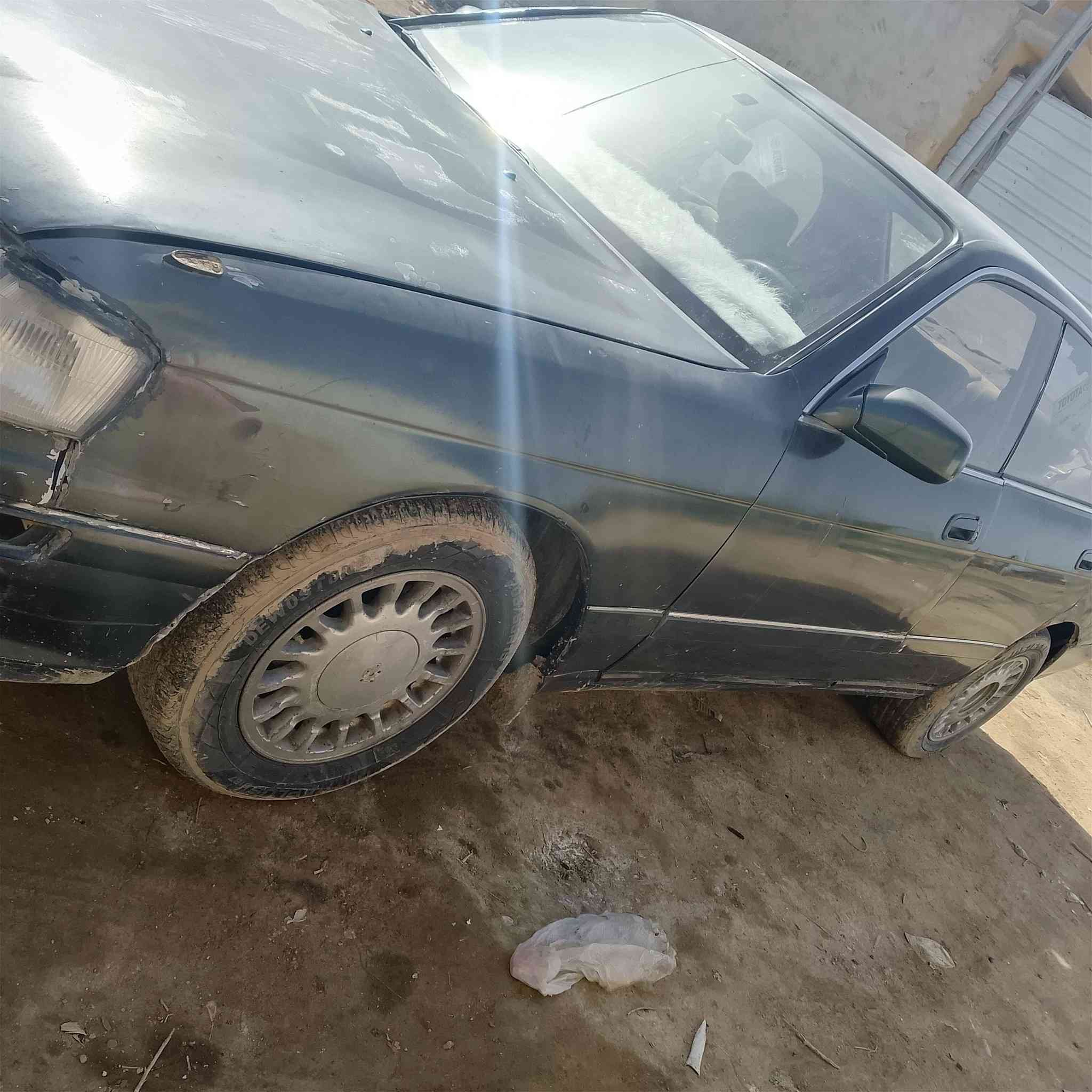 بطة للبيع موديل 92 رقم انبار راعيها بل سماوة السنوية عضم عاج صاقطة من الفين 2023  مكينة وكير جديد دخم تاير  حدادية  جديدة  سعرة 39 وبية مجال  مكاني  واسط كوت  الرقم هاتف ***********
