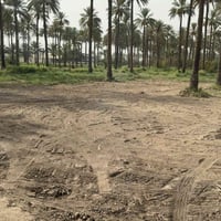 قطعة أرض ربع دونم  قرار ٢٥ الواجهة ٣٢ / النزال  ١٩.٥ الدورة البعيثة قر...